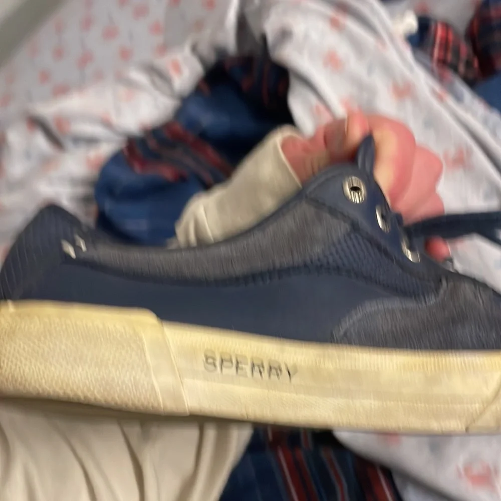 Sperry Navy and Cream Low-Top Boat Sneakers